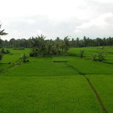 Green Field Hotel And Bungalow Ubud Buitenkant foto
