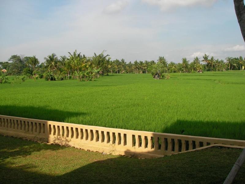 Green Field Hotel And Bungalow Ubud Buitenkant foto
