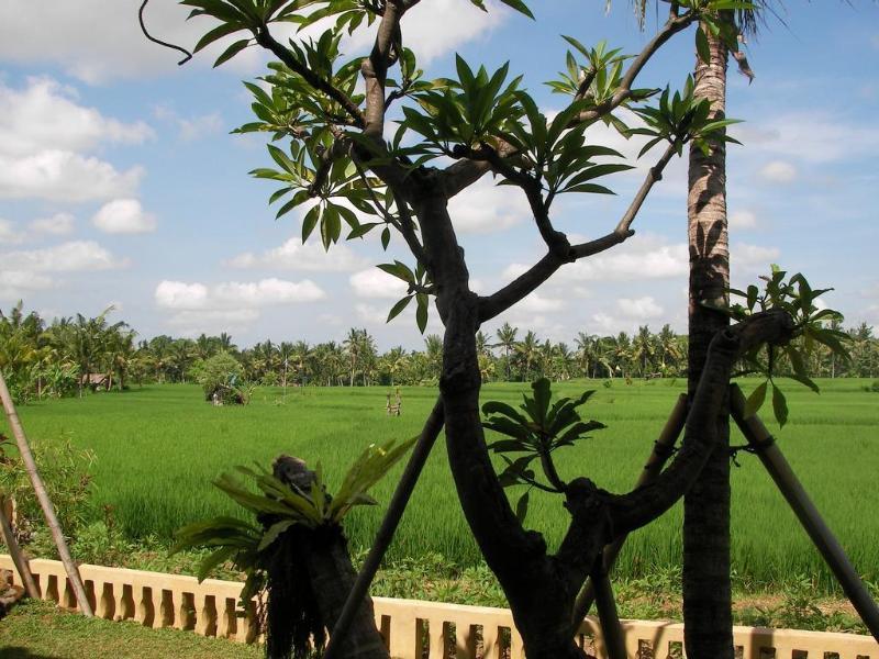 Green Field Hotel And Bungalow Ubud Buitenkant foto