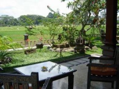 Green Field Hotel And Bungalow Ubud Buitenkant foto